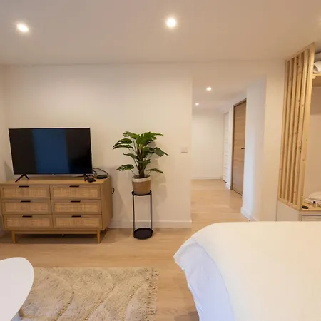 Destination Royale 公寓 阿讷西